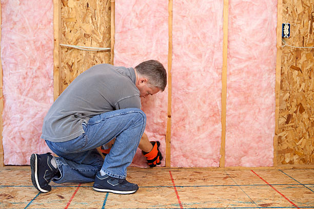 Best Insulation Removal  in Clarks Summit, PA